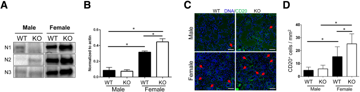 Figure 5