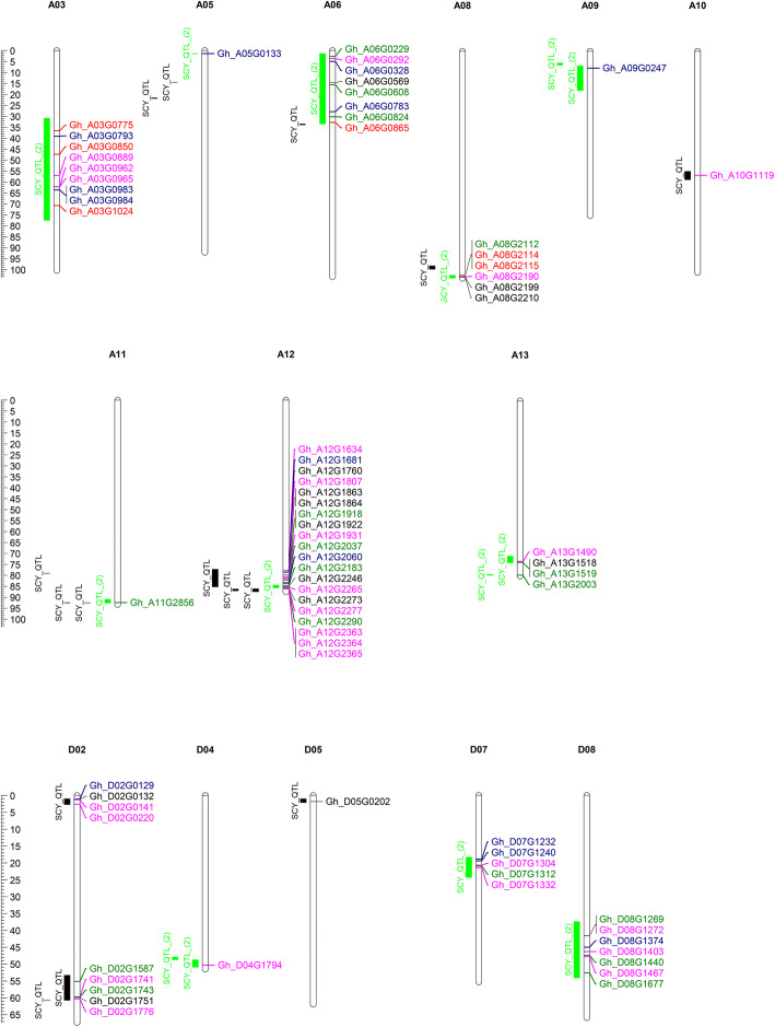 Fig. 7