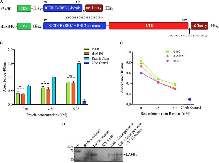 FIGURE 3