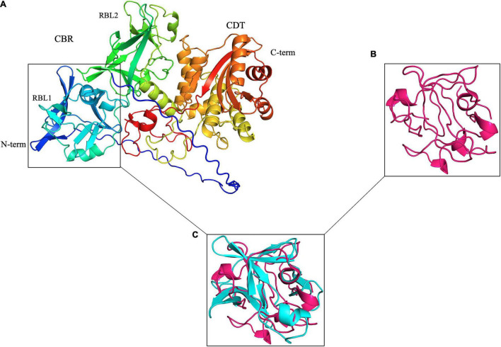 FIGURE 1