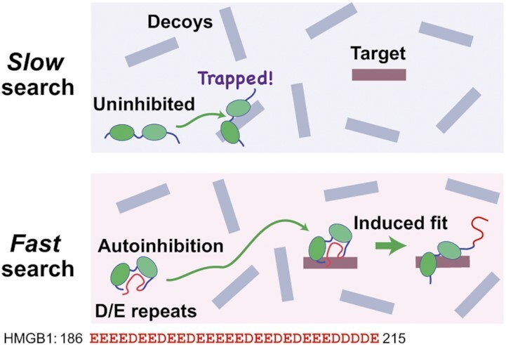 Graphical Abstract