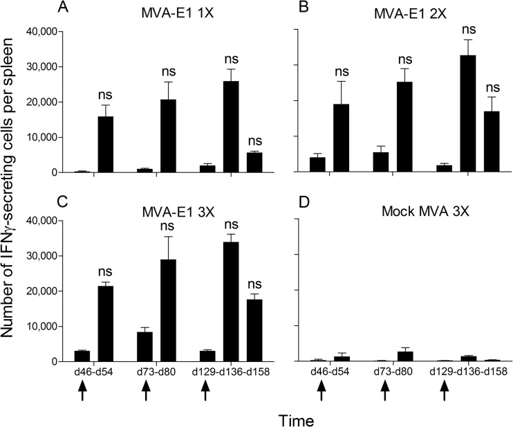 FIG 3