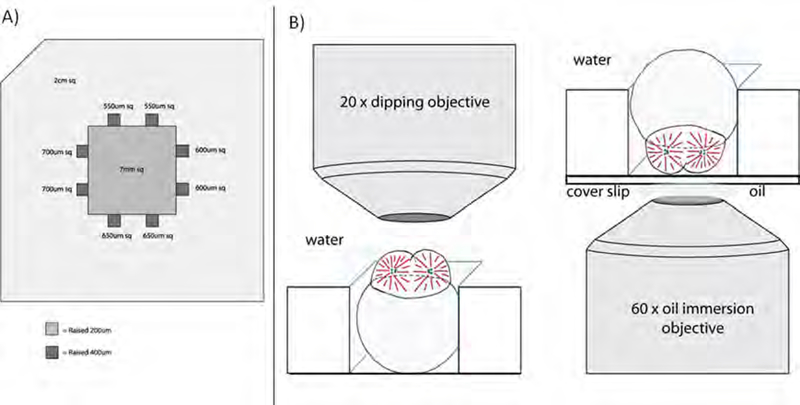 Fig.1