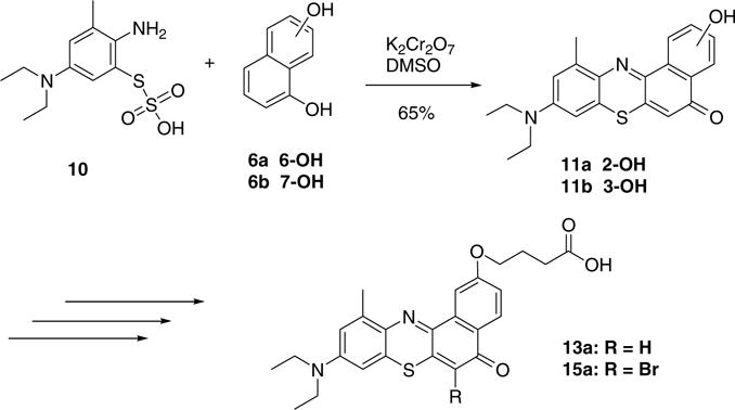 Scheme 2