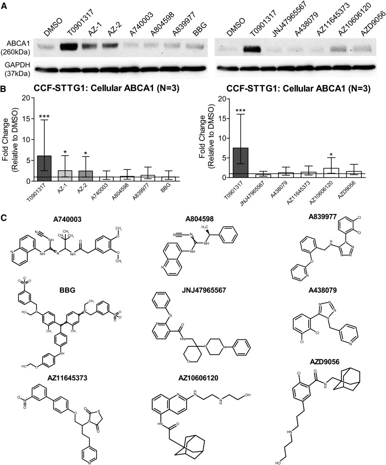 Fig. 6.