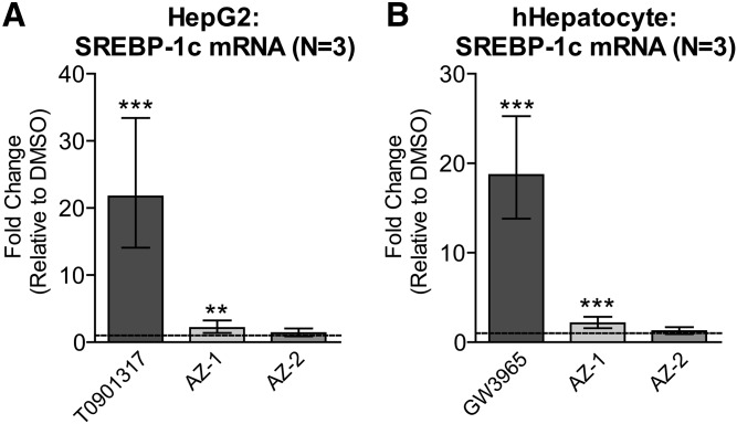 Fig. 9.