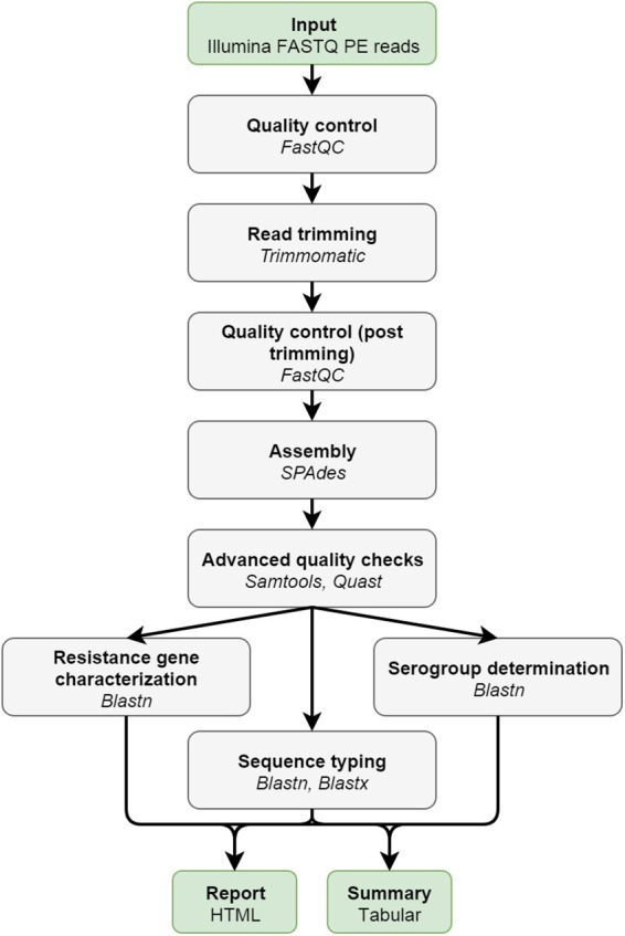 FIGURE 1