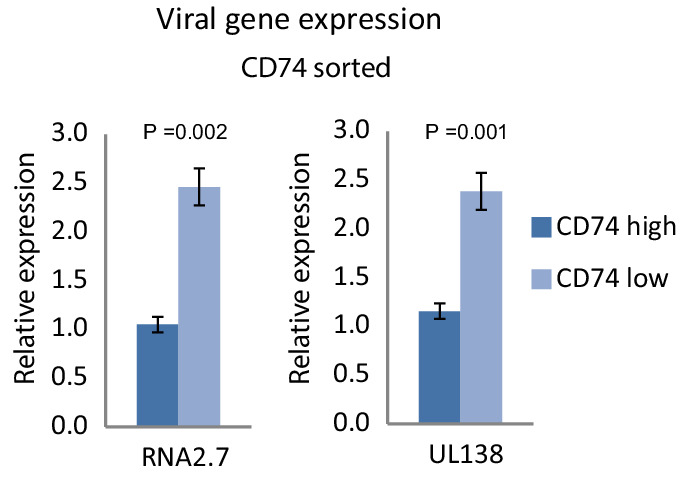 Figure 2—figure supplement 2.