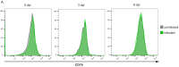 Figure 2—figure supplement 4.