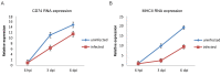 Figure 1—figure supplement 2.