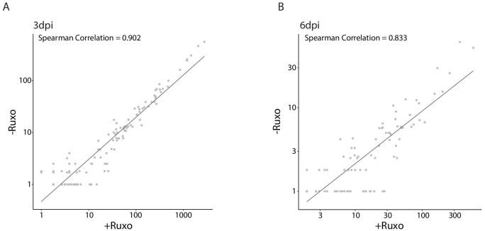 Figure 7—figure supplement 1.