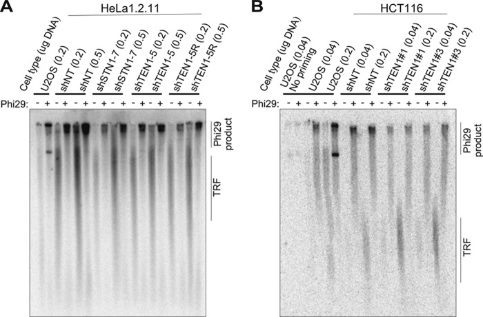 FIGURE 3.