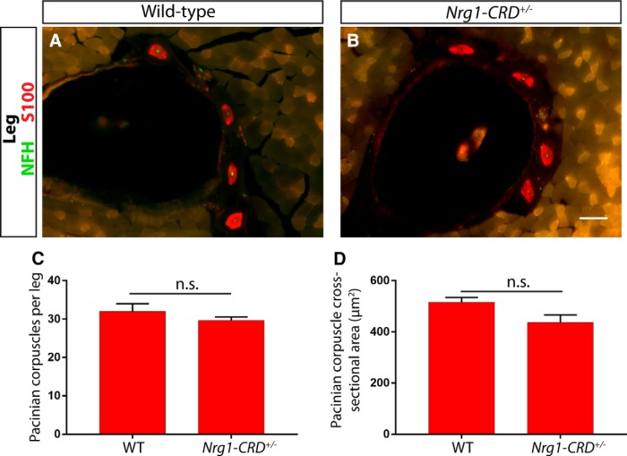 Figure 14.