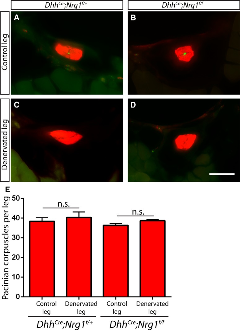 Figure 15.