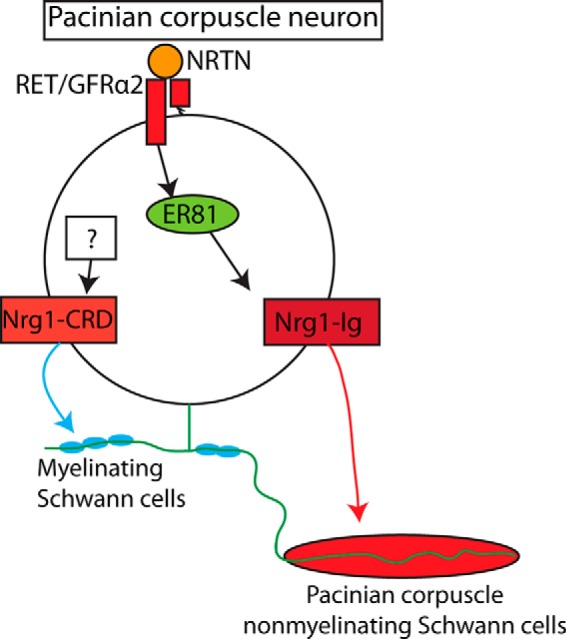 Figure 16.