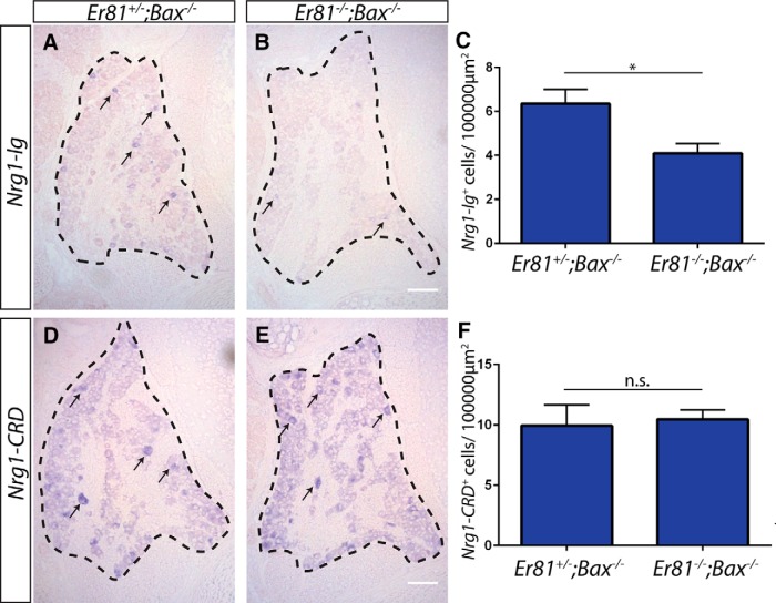 Figure 13.