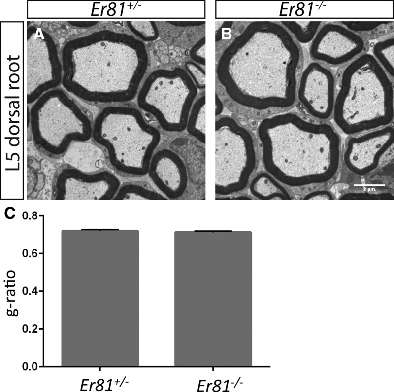 Figure 9.