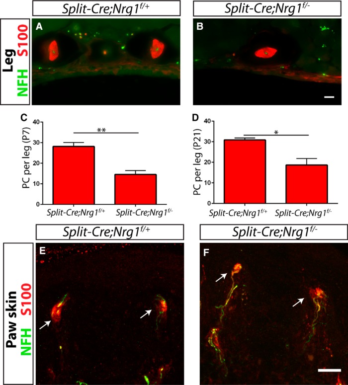 Figure 12.