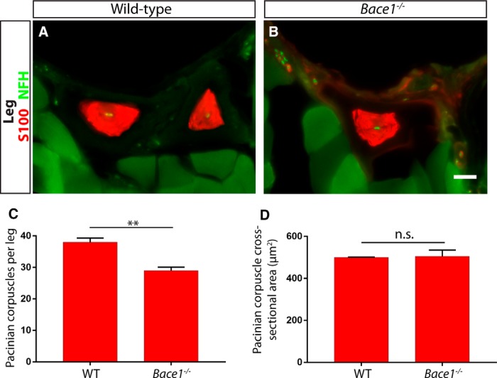 Figure 10.