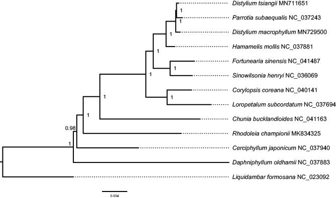 Figure 1.