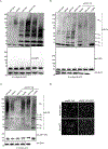 Figure 5: