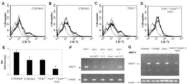 FIG. 7.