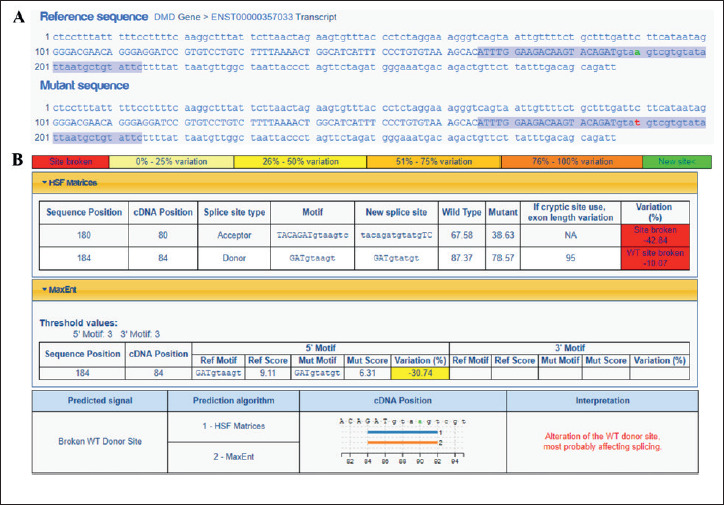 Supplementary Figure 1.