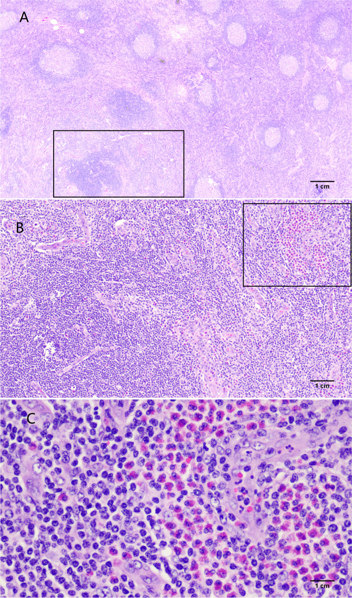 Fig. 8