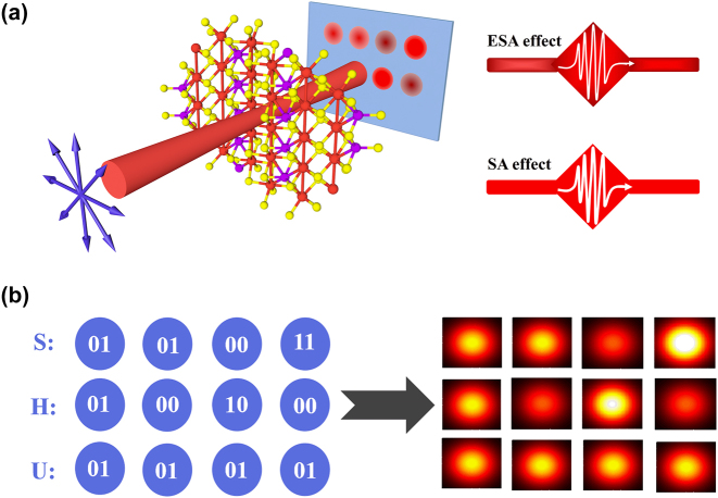 Figure 6: