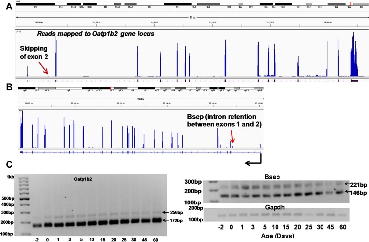 Fig 8