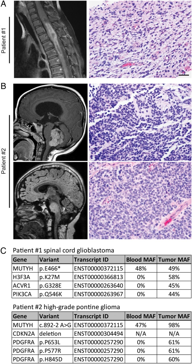 Fig. 1.