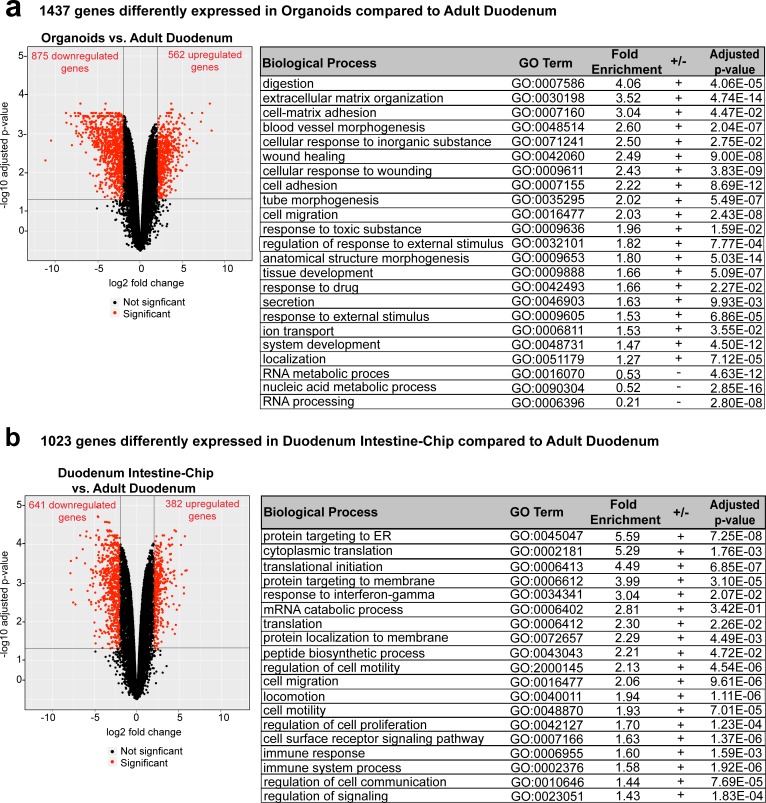 Figure 3—figure supplement 1.