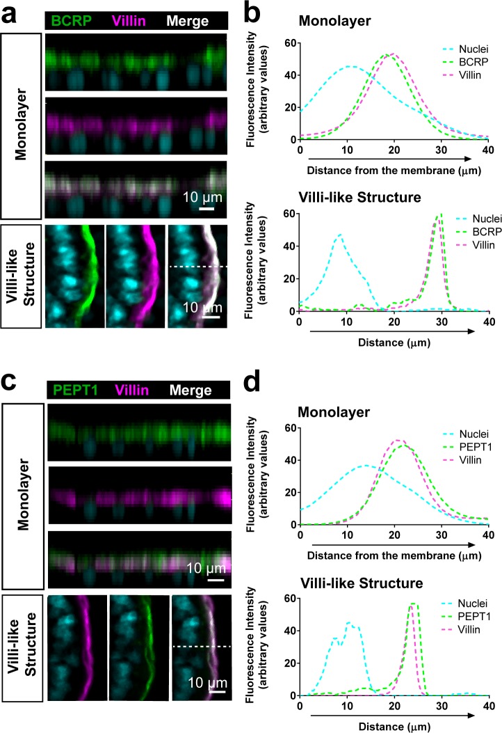 Figure 4—figure supplement 1.