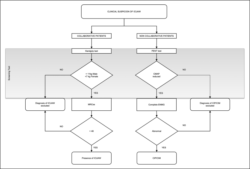 FIGURE 1