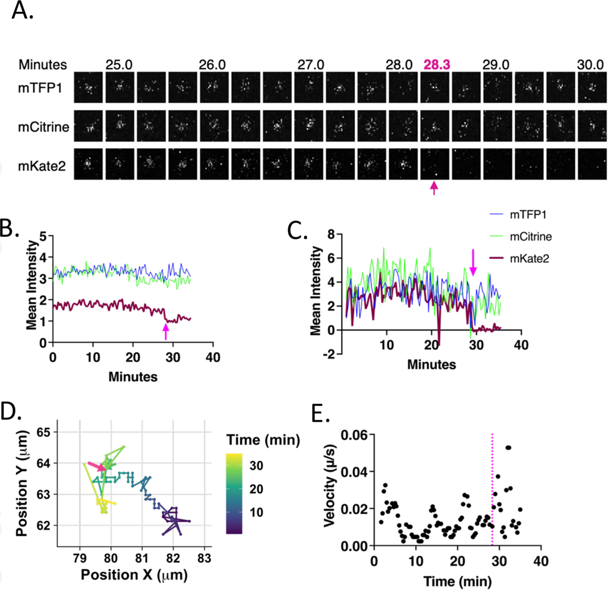 Figure 2.