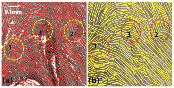 Fig. 8