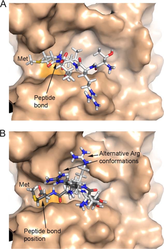 FIGURE 7.