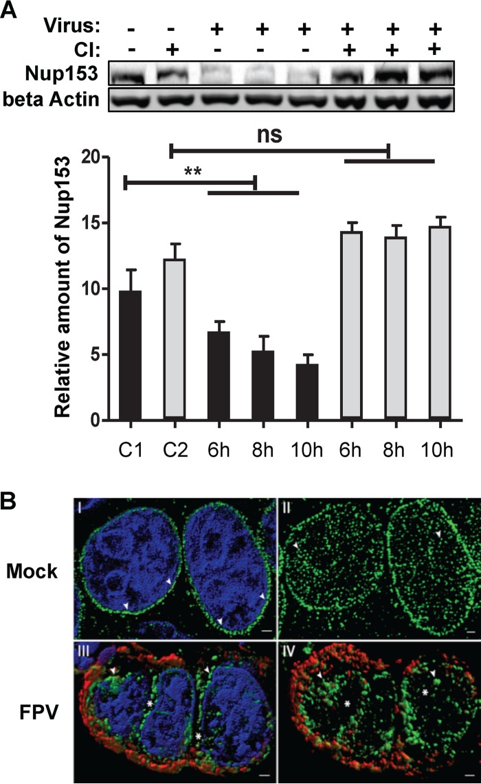 FIG 3