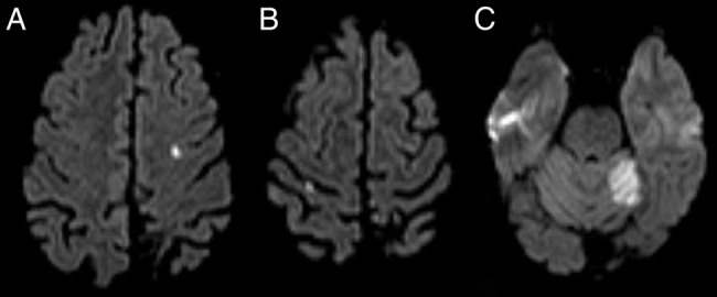 Figure 1