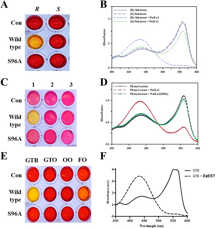 Fig 7