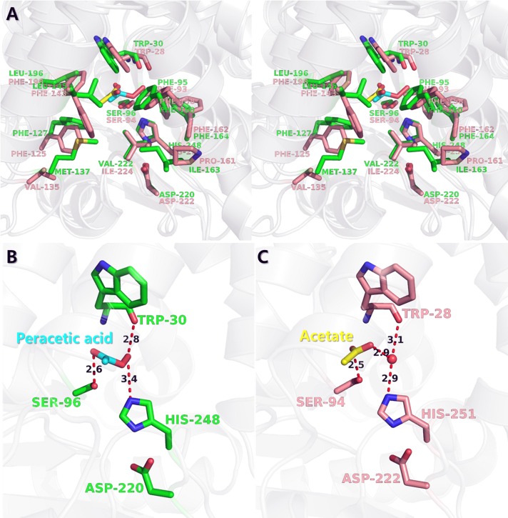 Fig 4