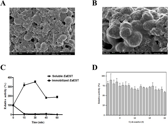 Fig 10