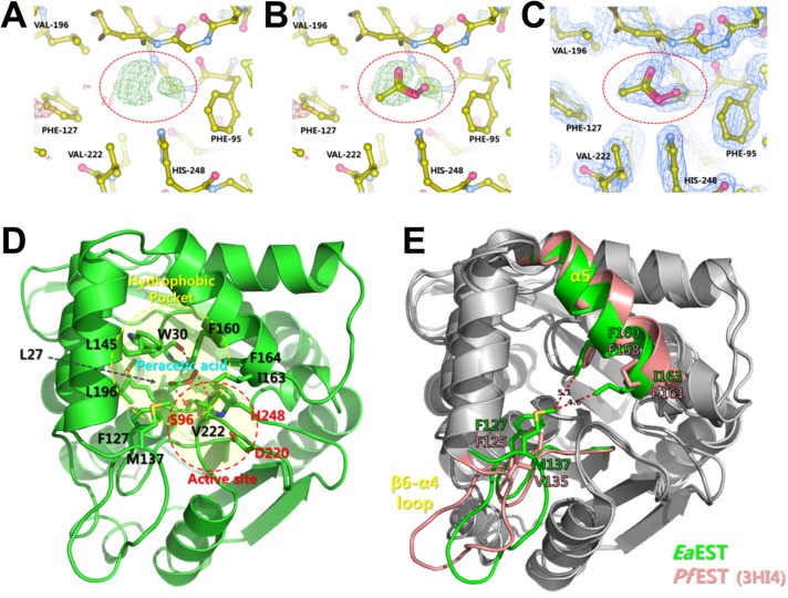 Fig 3