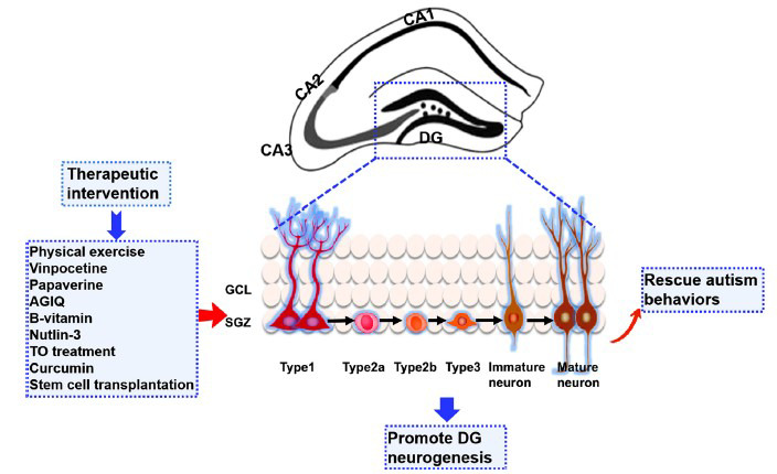 Fig. (1)