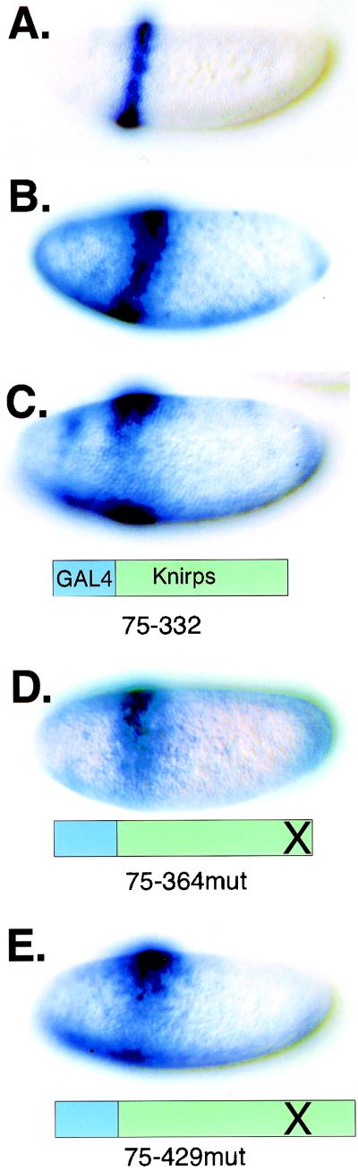 FIG. 6