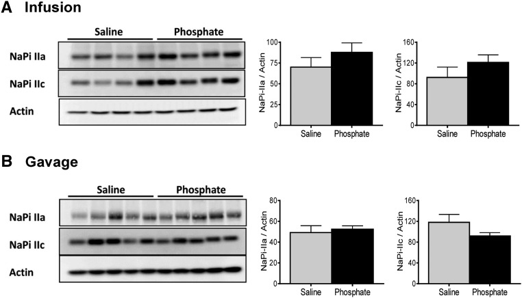 Figure 10.