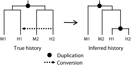 Figure 3.—