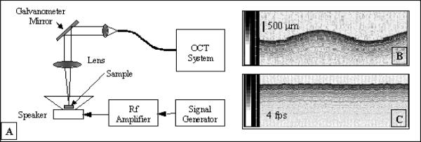 Fig. 10