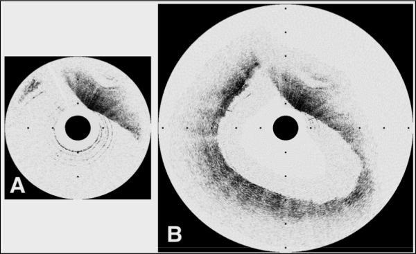 Fig. 8