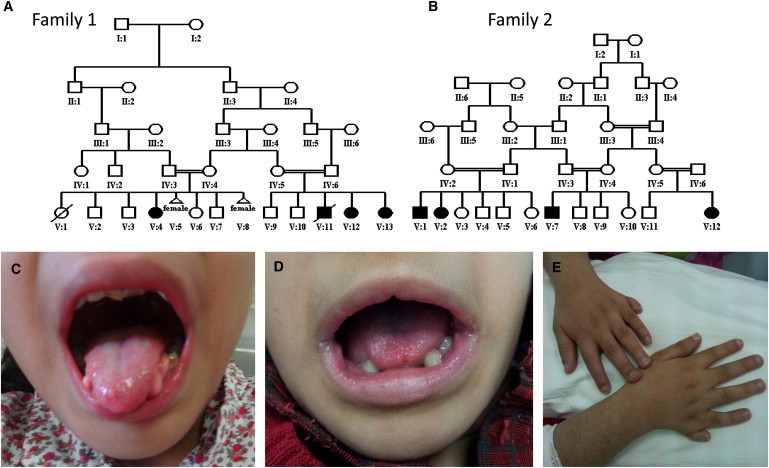 Figure 1